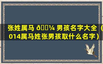 张姓属马 🐼 男孩名字大全（2014属马姓张男孩取什么名字）